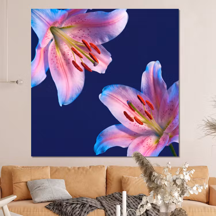 Forex - Bloemen - Kleurrijk - Botanisch — 4