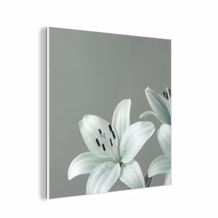Forex - Bloemen - Natuur - Groen — 1