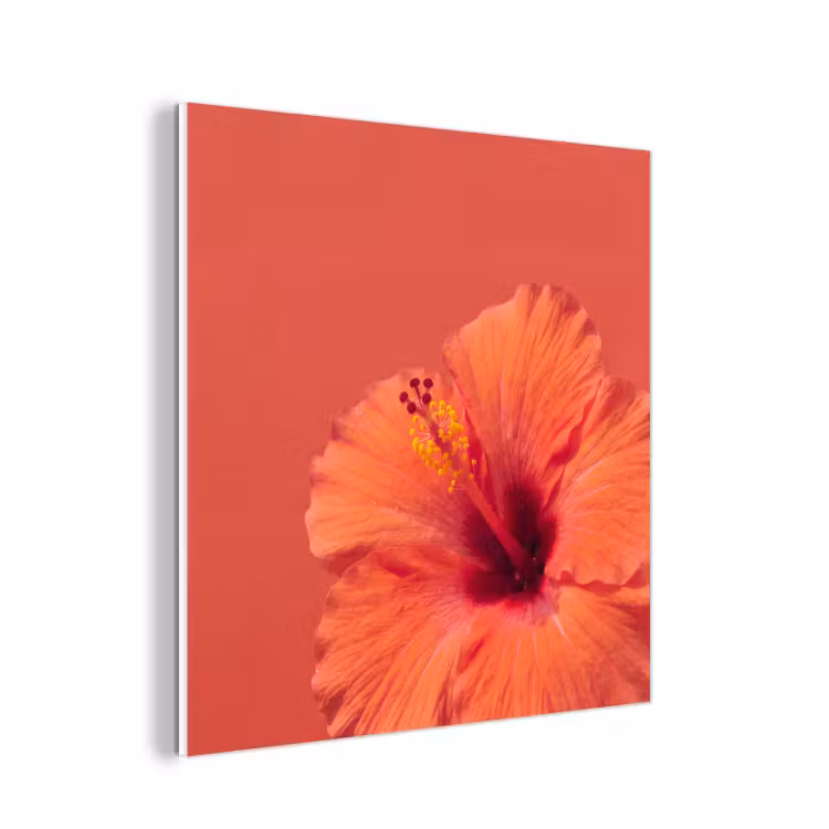 Forex - Bloemen - Oranje - Natuur — 1
