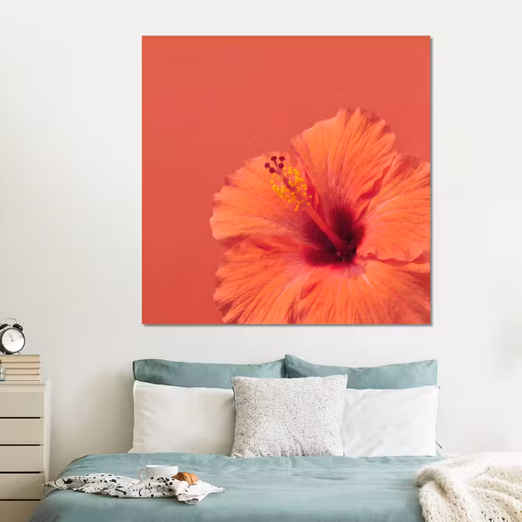 Forex - Bloemen - Oranje - Natuur — 2