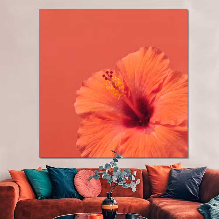 Forex - Bloemen - Oranje - Natuur — 3