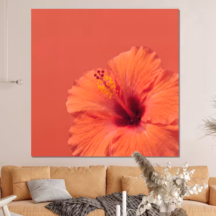 Forex - Bloemen - Oranje - Natuur — 4