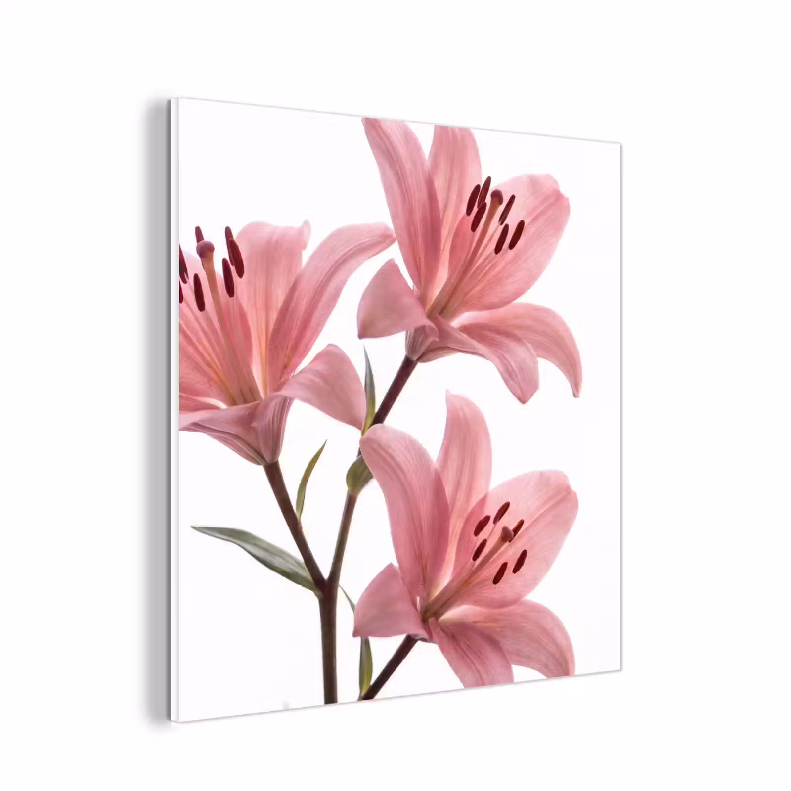 Forex - Bloemen - Zacht - Modern — 1