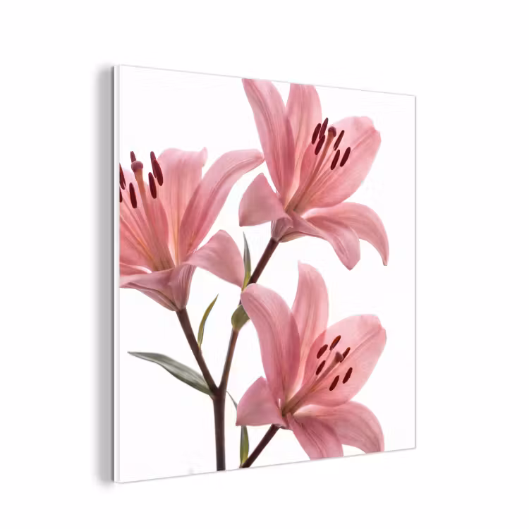 Forex - Bloemen - Zacht - Modern — 1