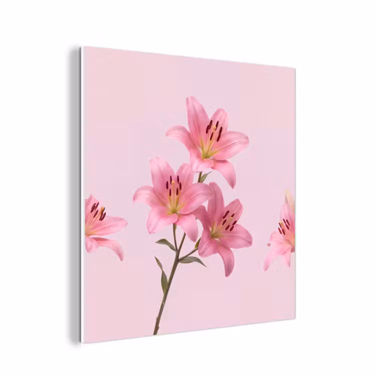 Forex - Bloemen - Zacht - Roze — 1