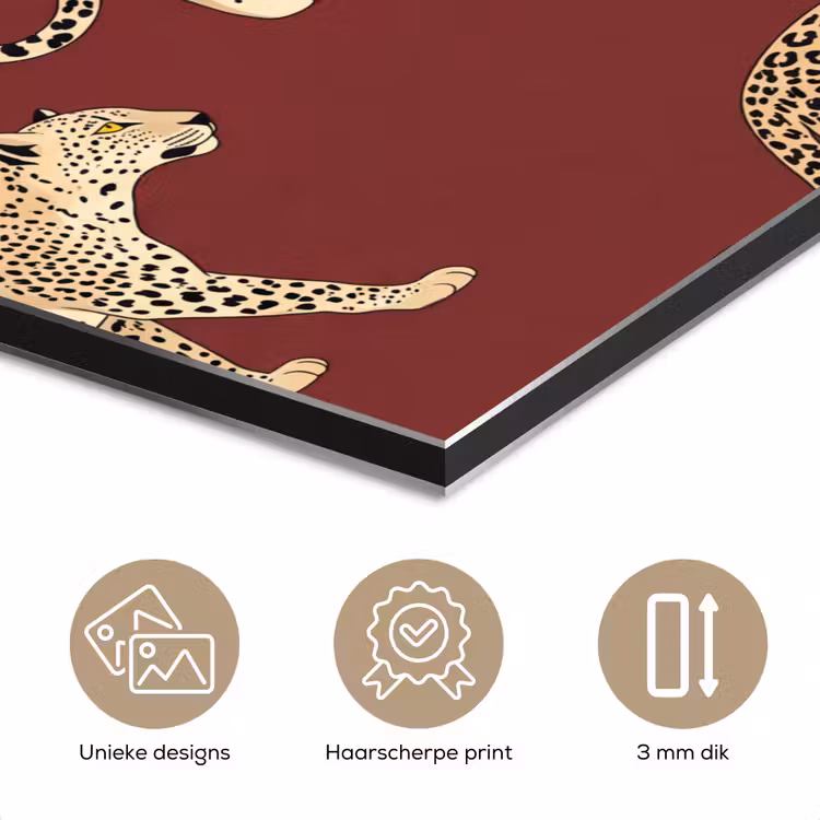 Aluminium schilderij - Katten - Patroon - Rood — 7