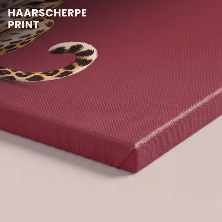 Canvas schilderij - Kat - Dieren - Rood — 5