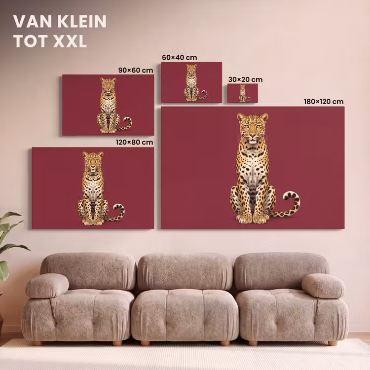 Canvas schilderij - Kat - Dieren - Rood — 8