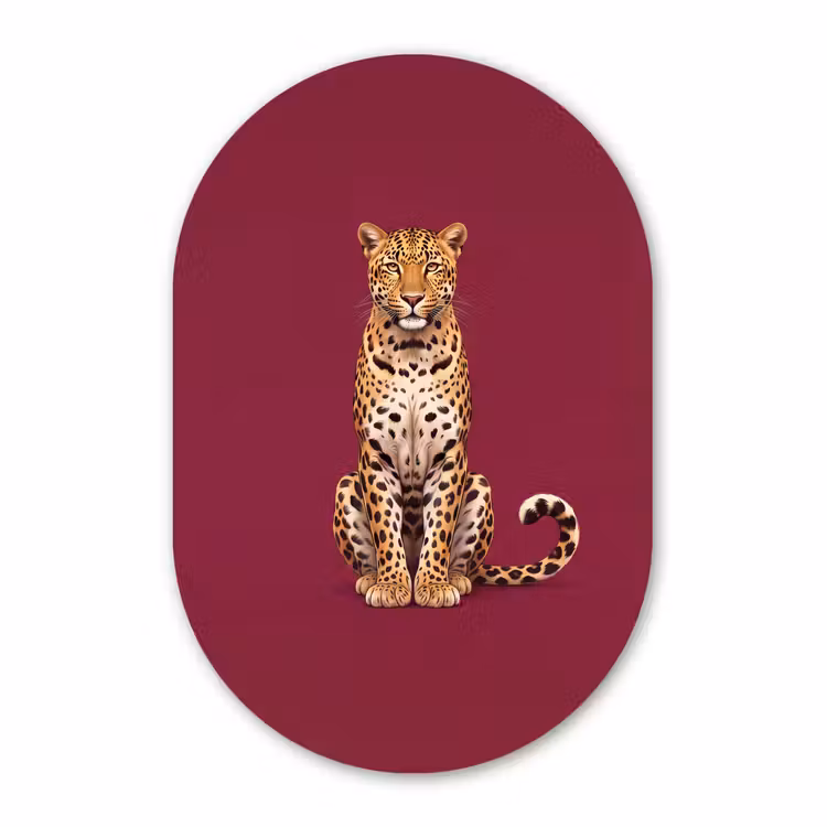 Muurovaal - Glas - Kat - Dieren - Rood — 1