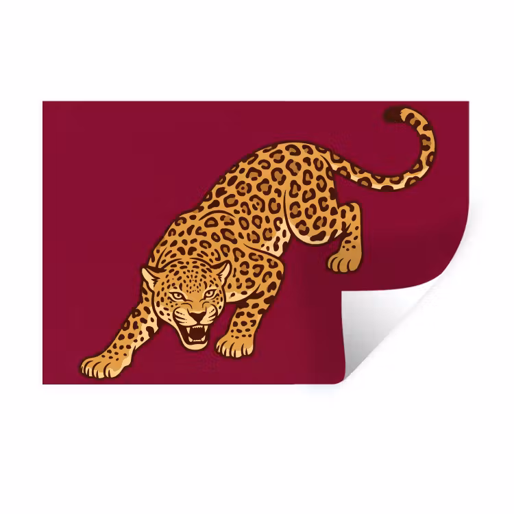 Muursticker - Kat - Aanvallend - Dieren — 1