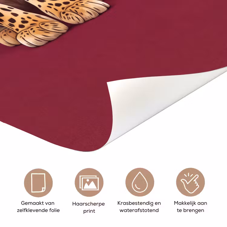 Deursticker - Kat - Dieren - Rood — 3