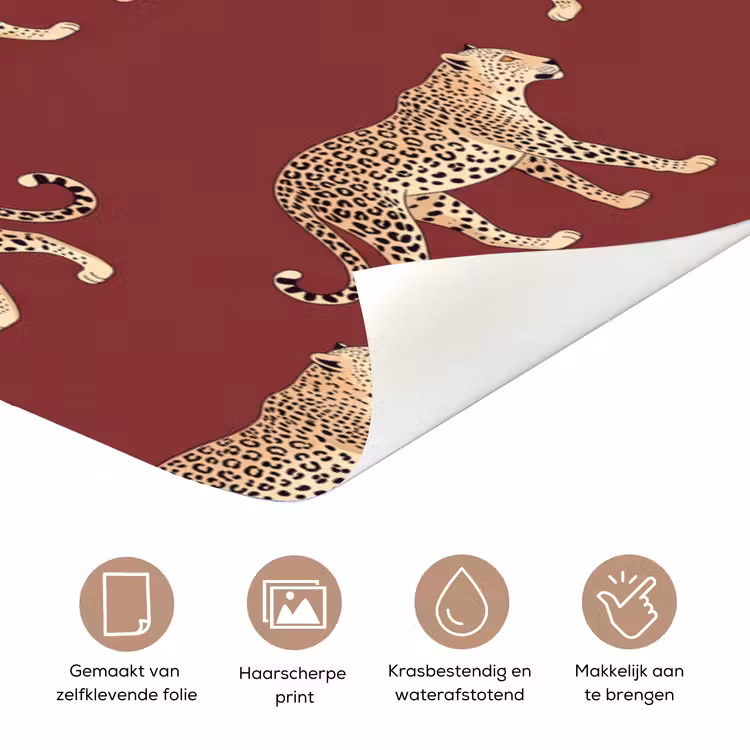 Deursticker - Katten - Patroon - Rood — 3