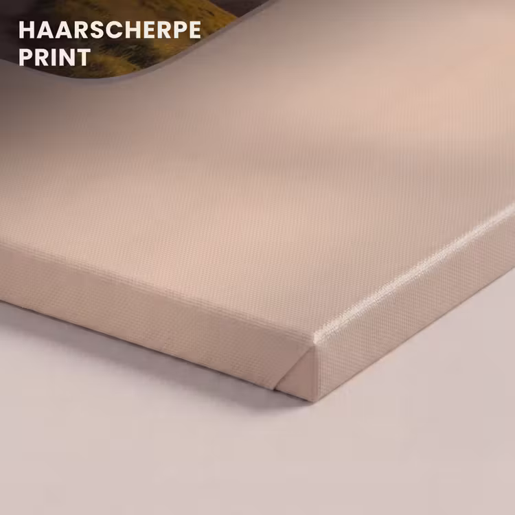 Canvas schilderij - Uitzicht - Kust - Natuur — 5