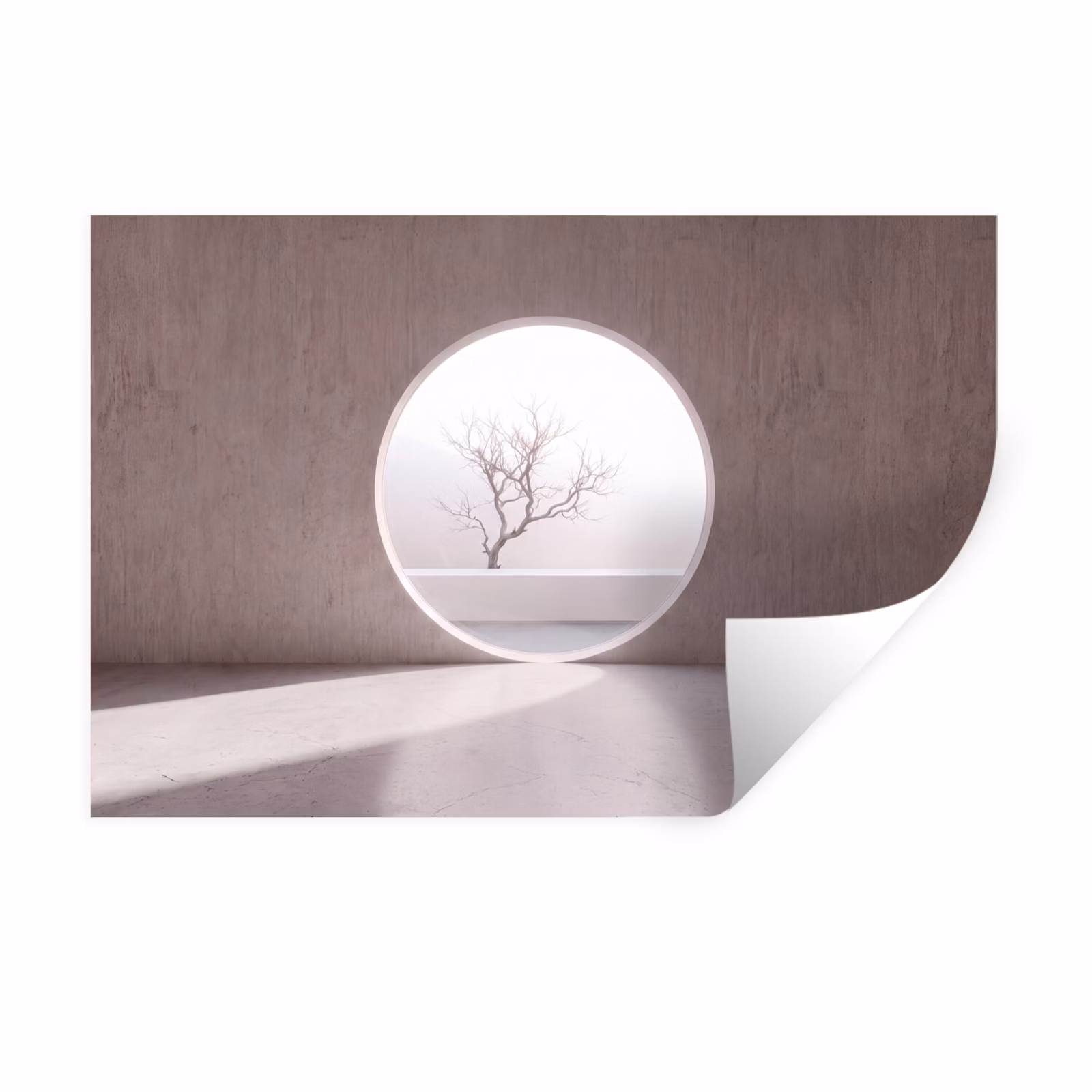 Muursticker - Boom - Cirkel - Modern — 1