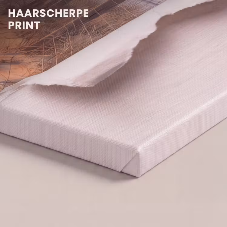 Canvas schilderij - Duin - Pad - Kust — 5
