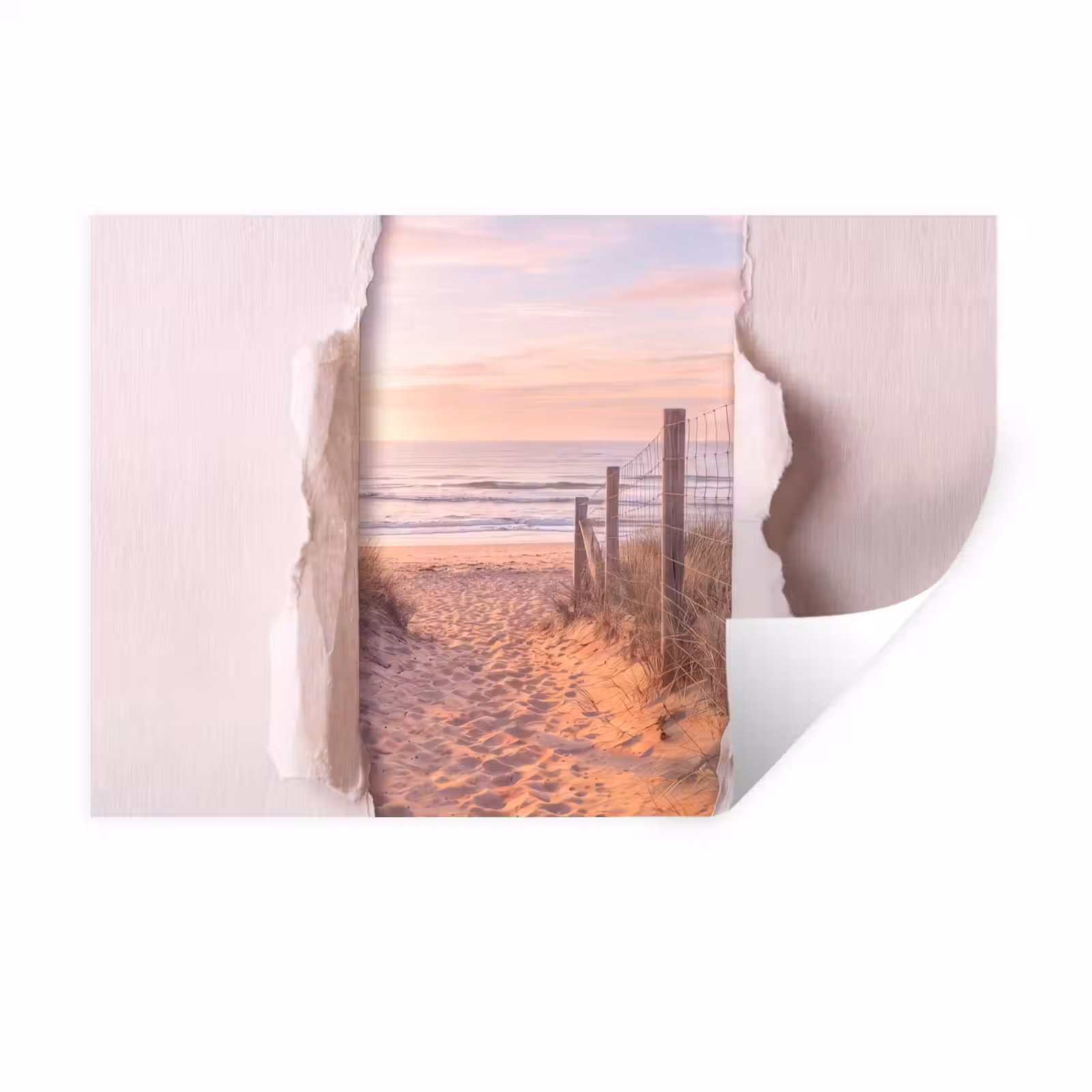 Muursticker - Duin - Pad - Kust — 1