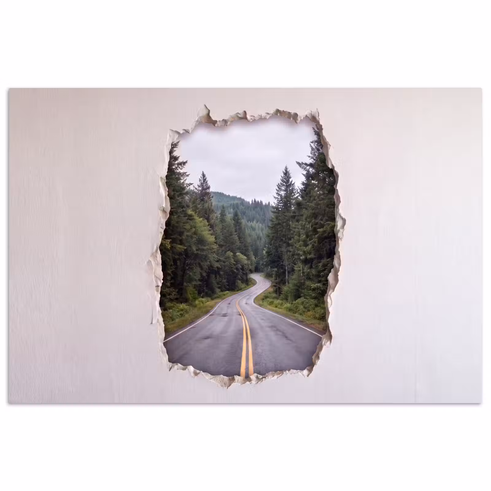 Poster - Weg - Bos - Natuur — 1