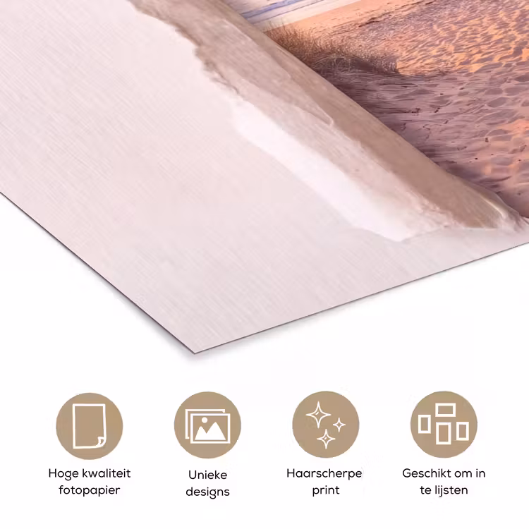Poster - Duin - Pad - Kust — 5