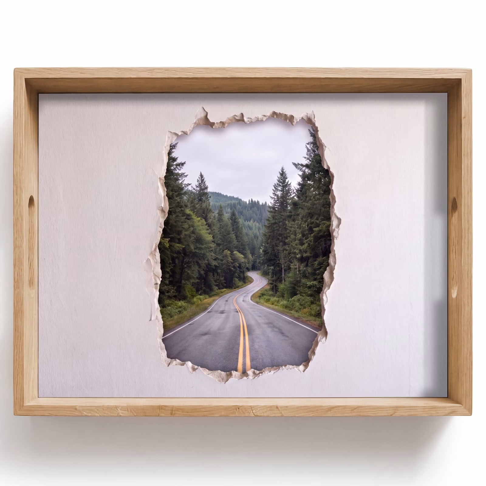 Dienblad - Weg - Bos - Natuur — 1
