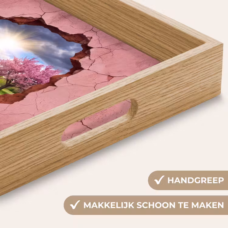 Dienblad - Natuur - Lente - Zon — 5