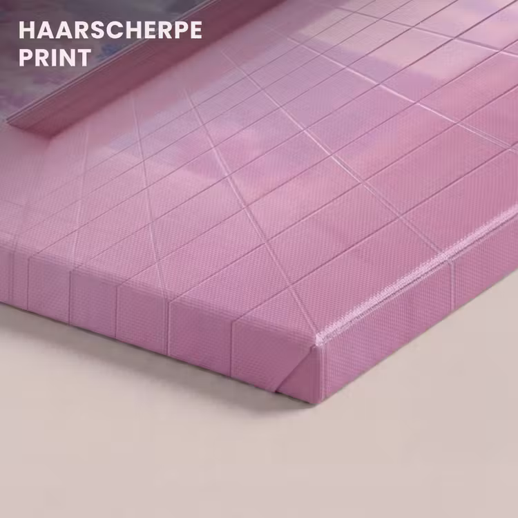 Canvas schilderij - Roze deur - Fantasie — 5