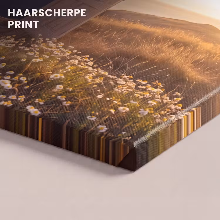 Canvas schilderij - Deur - Sterren - Natuur — 5