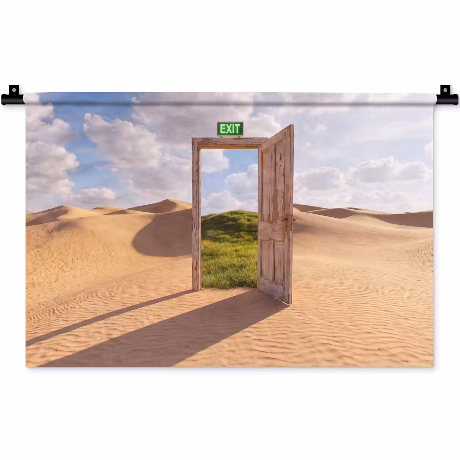 Wandkleed - Deur - Woestijn - Gras — 1