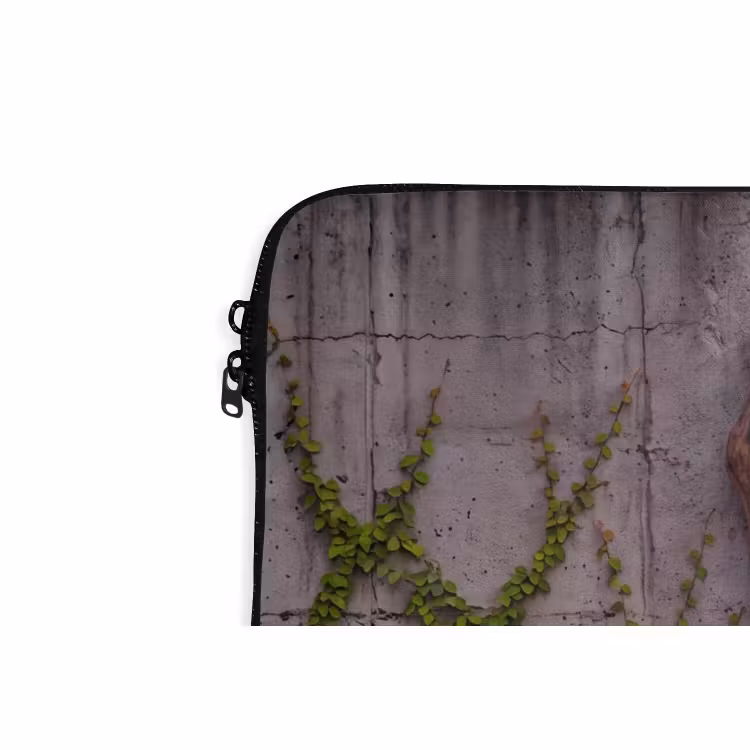 Laptophoes - Landschap - Kader - Licht — 5