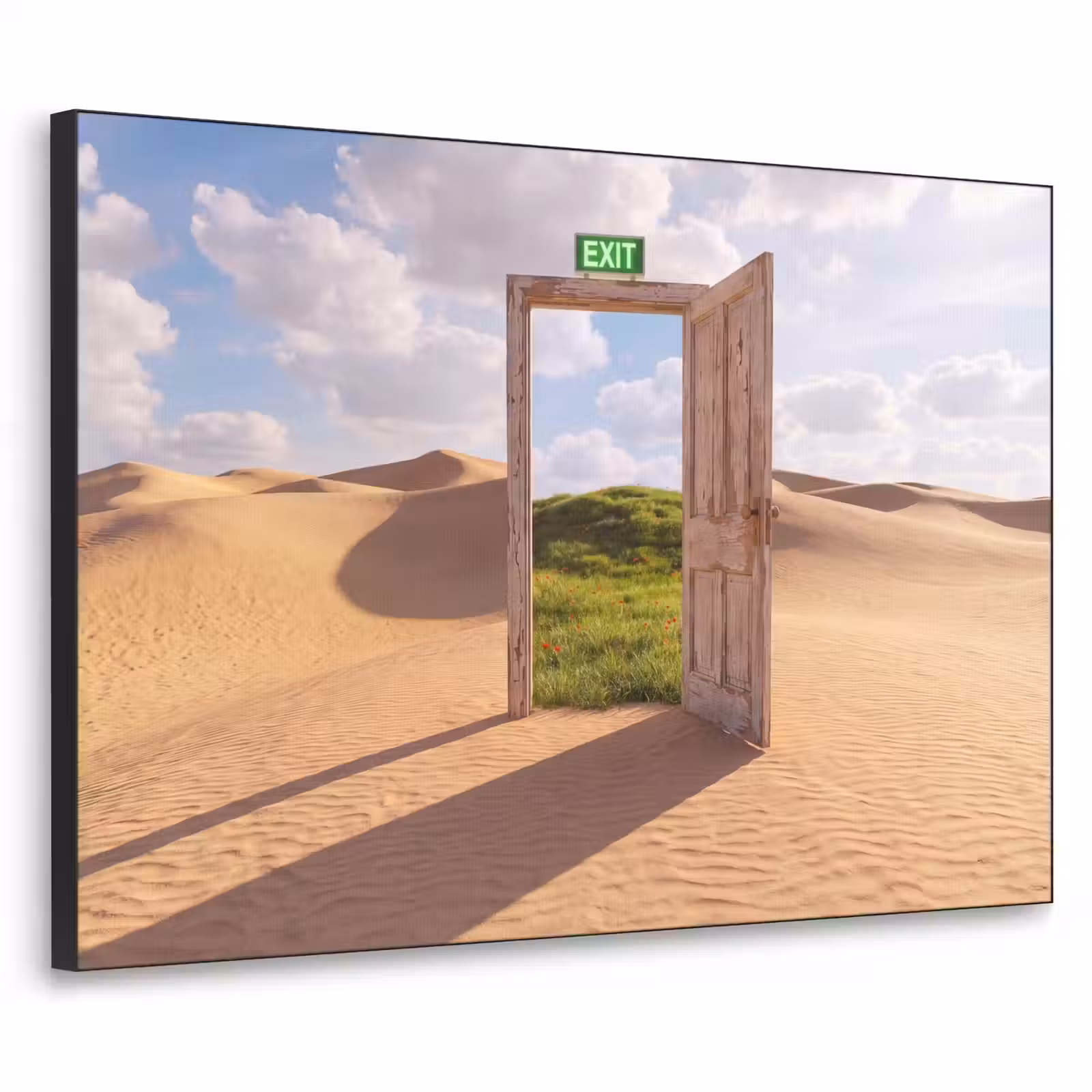 Art Frame - Deur - Woestijn - Gras — 1