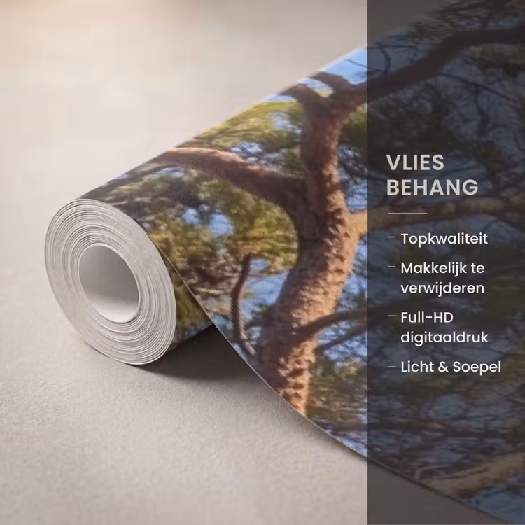 Behang - Boog - Kust - Natuur — 3