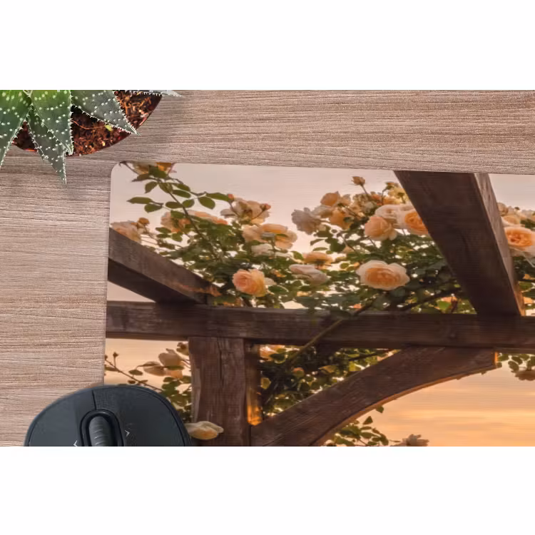 Muismat - Pergola - Zee - Zonsondergang — 5
