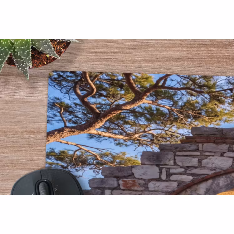 Muismat - Boog - Kust - Natuur — 5
