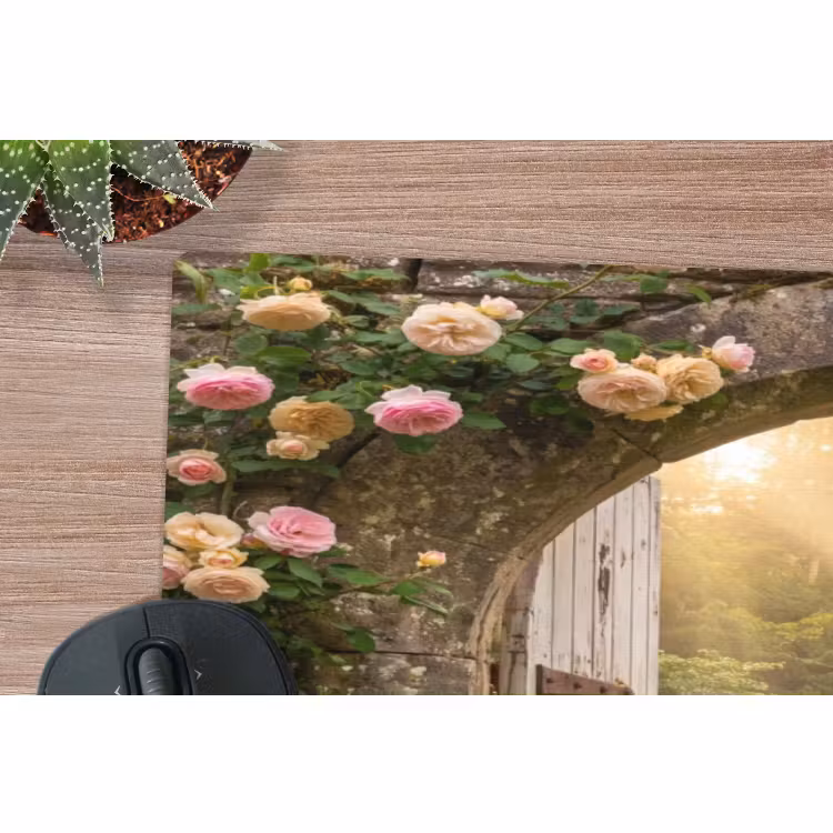 Muismat - Huis - Tuin - Natuur — 5