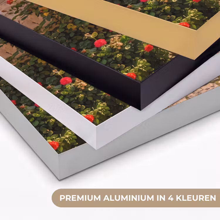 Art Frame - Pad - Tuin - Zonnig — 2