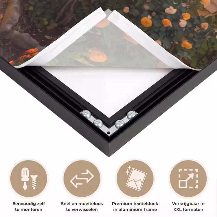 Art Frame - Pad - Tuin - Zonnig — 4