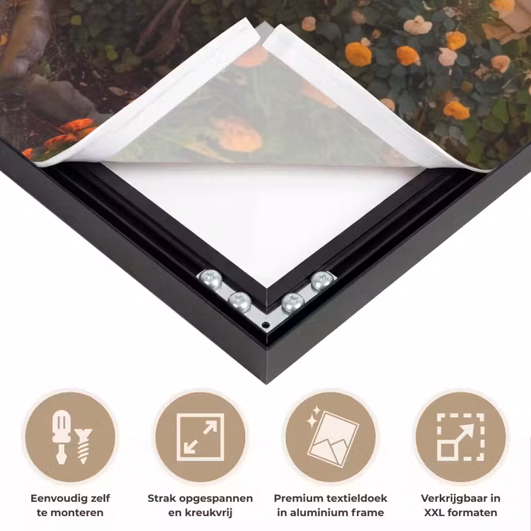 Art Frame - Pad - Tuin - Zonnig — 8