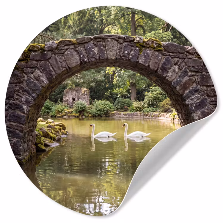 Behangcirkel - Vogel - Water - Natuur — 1