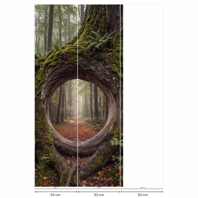 Behang - Boom - Bos - Natuur — 6