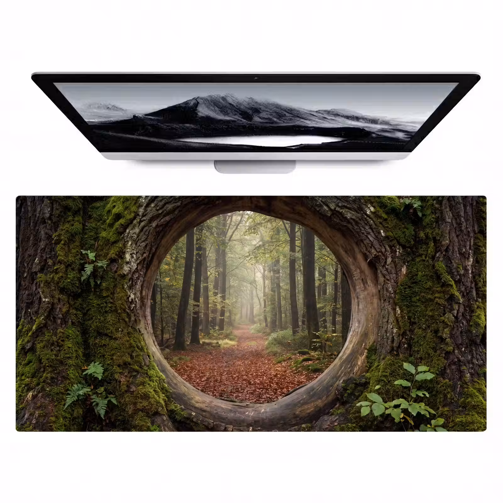 Bureau onderlegger - Boom - Bos - Natuur — 1