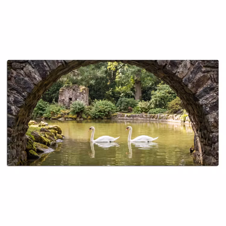Bureau onderlegger - Vogel - Water - Natuur — 2
