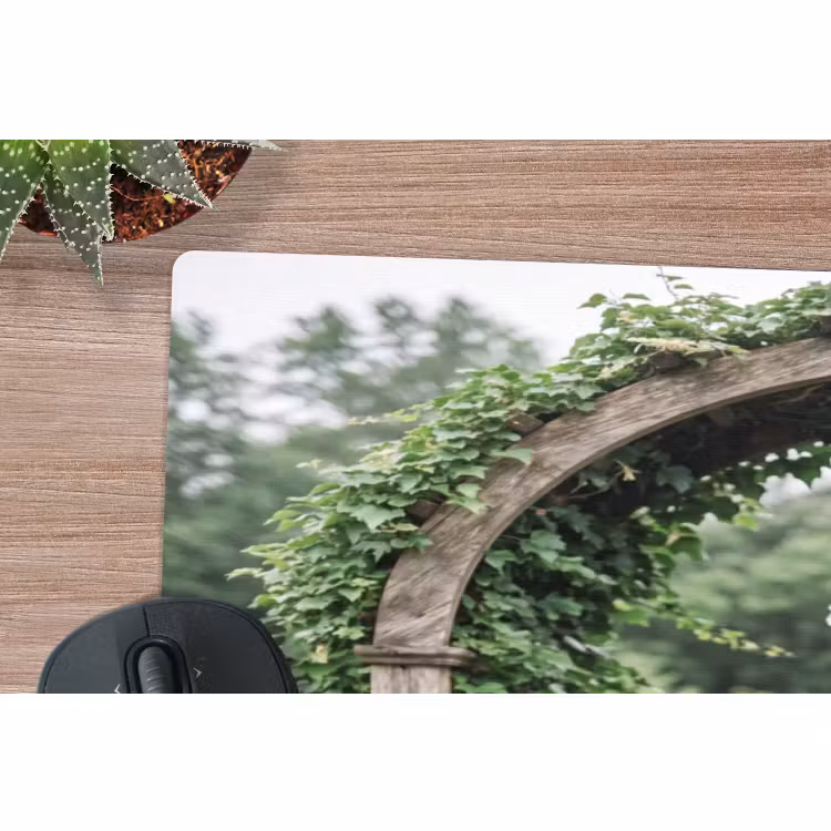 Muismat - Boog - Tuin - Natuur — 5