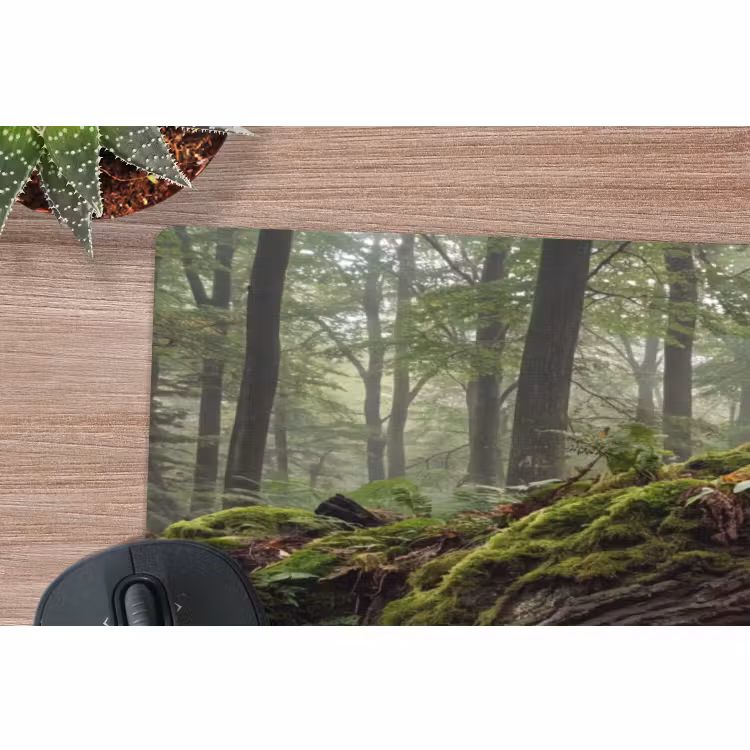 Muismat - Boom - Bos - Natuur — 5