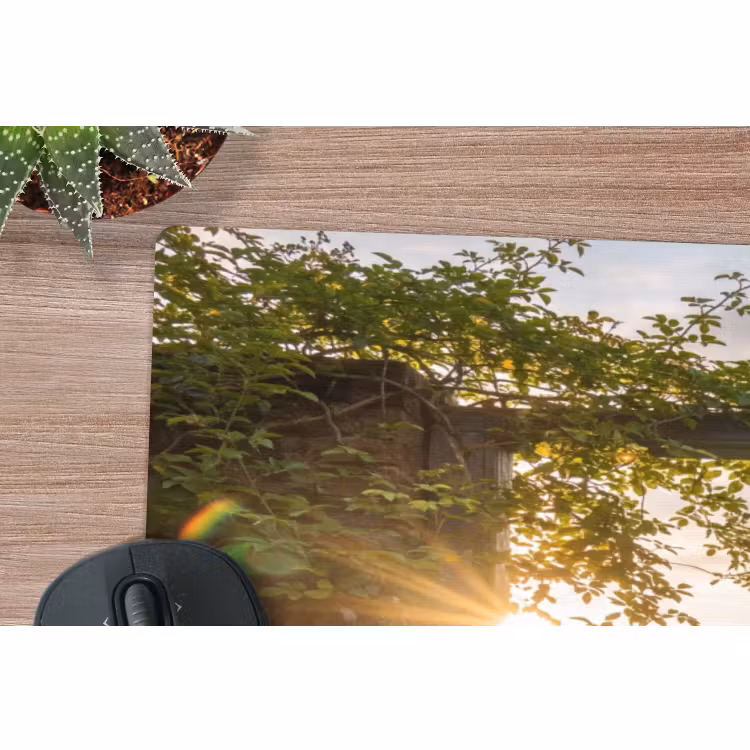 Muismat - Deur - Tuin - Natuur — 5