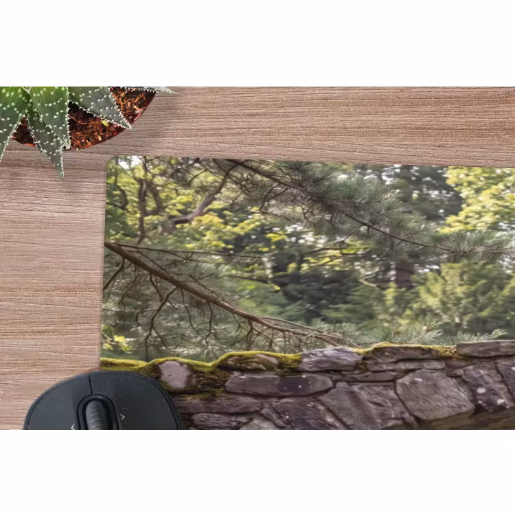 Muismat - Vogel - Water - Natuur — 5