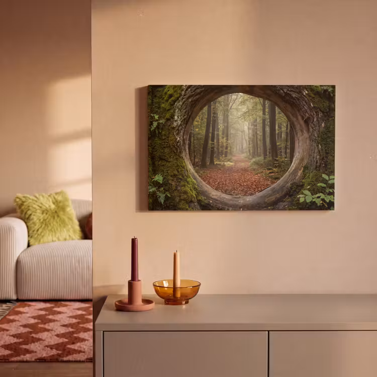 Canvas schilderij - Boom - Bos - Natuur — 2