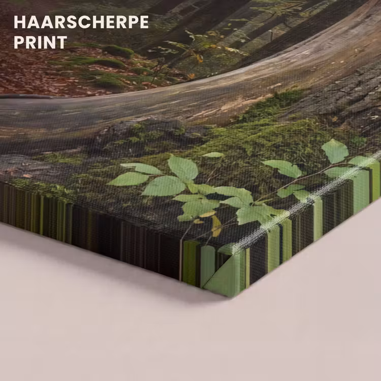 Canvas schilderij - Boom - Bos - Natuur — 5