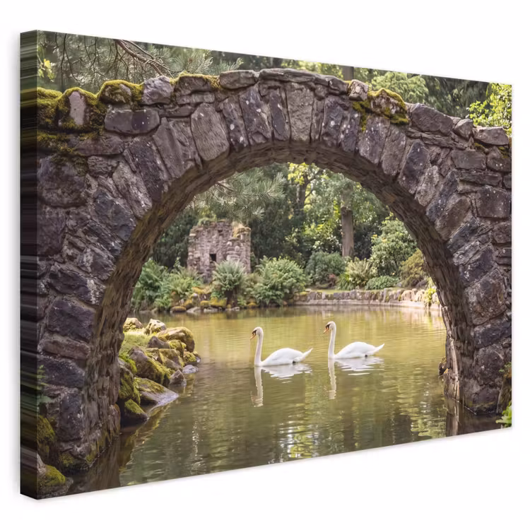 Canvas schilderij - Vogel - Water - Natuur — 1