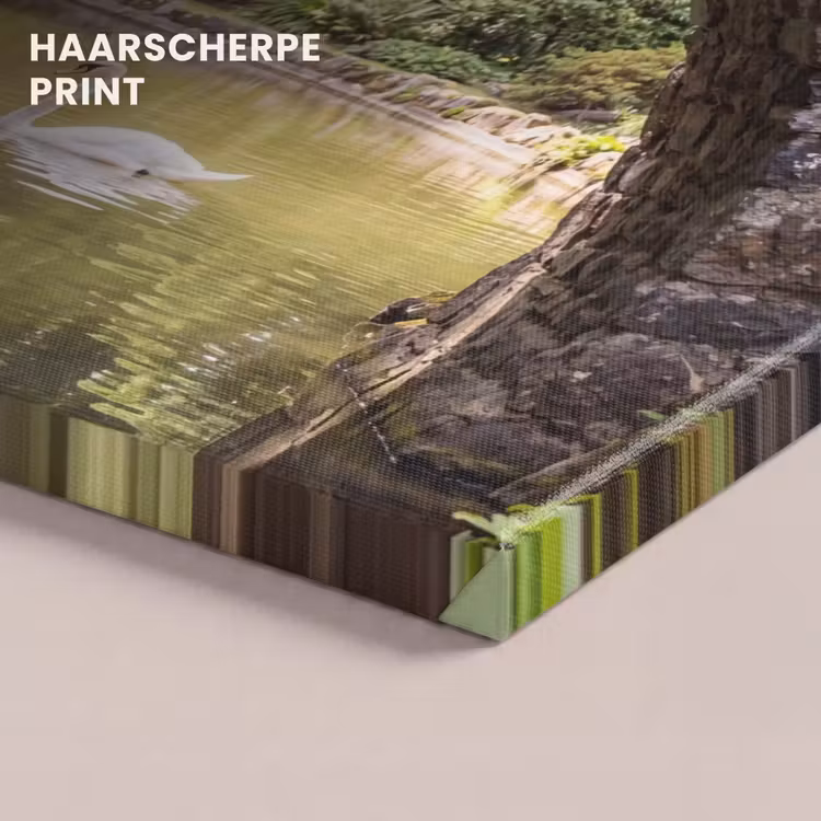 Canvas schilderij - Vogel - Water - Natuur — 5
