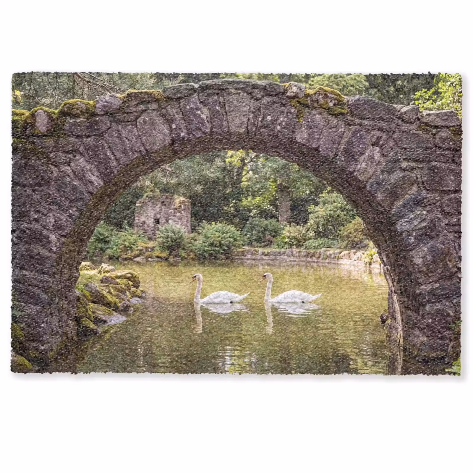 Deurmat - Vogel - Water - Natuur — 1