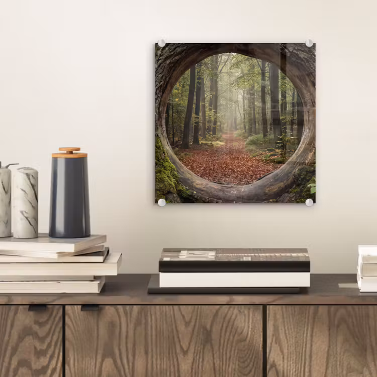 Glas schilderij - Boom - Bos - Natuur — 2